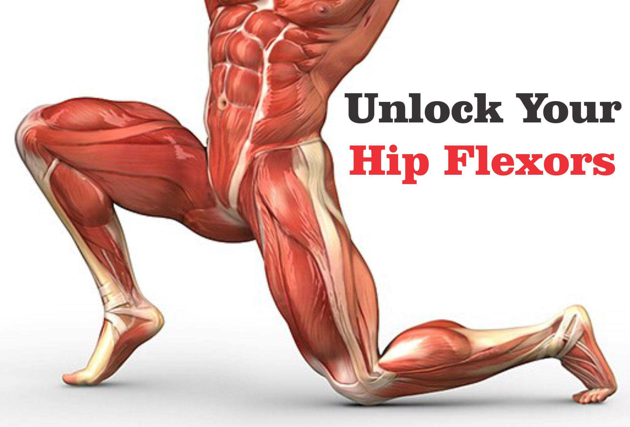 Unlock Your Hip Flexors Stay Fit 247